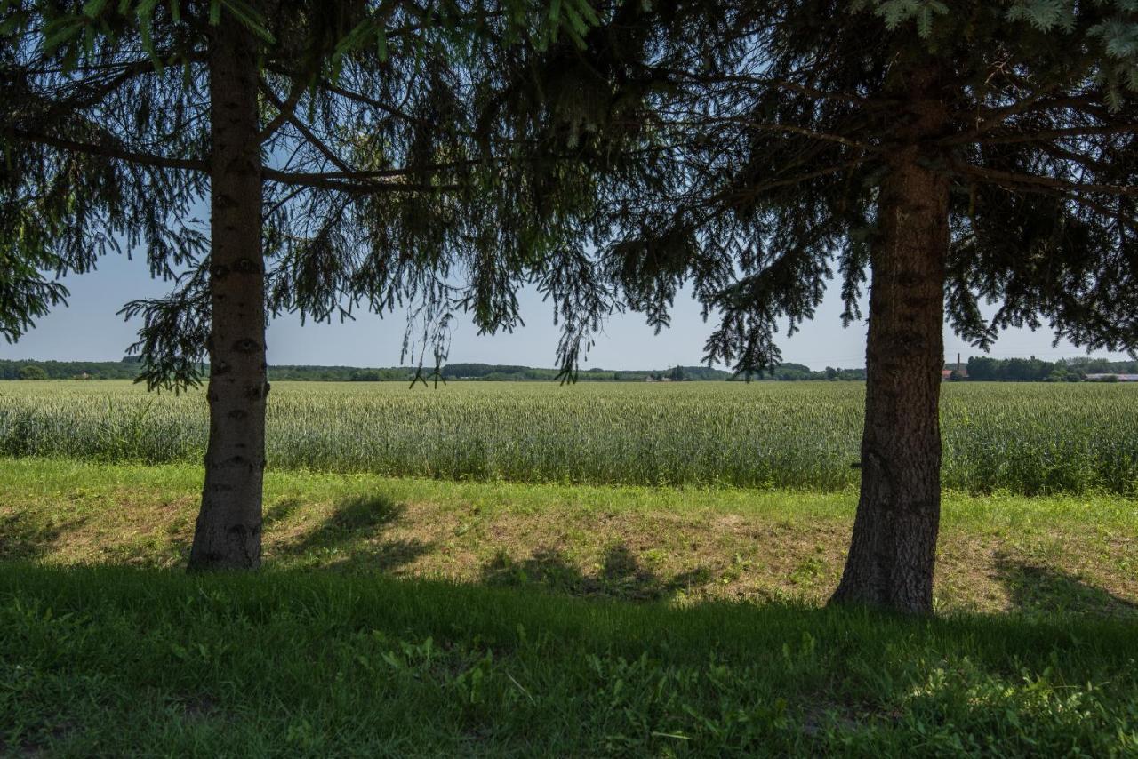 Posteleki Vendeghaz-Nyugalom Szigetei Villa Gyula Buitenkant foto